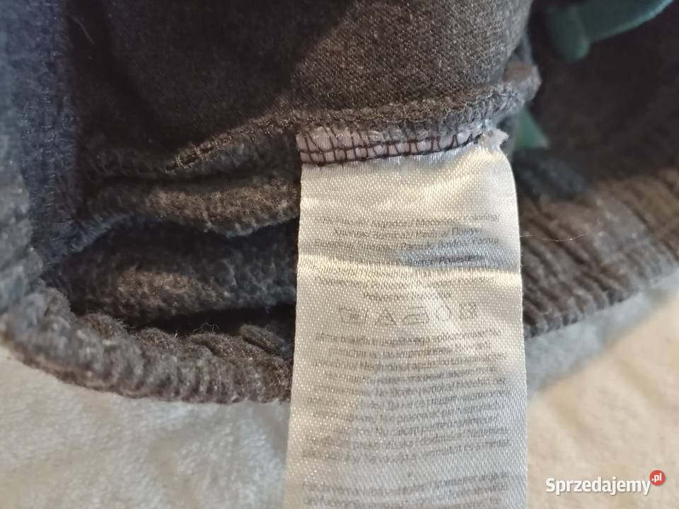 Spodnie dresowe miś polarny 104 Little kids Czeladź