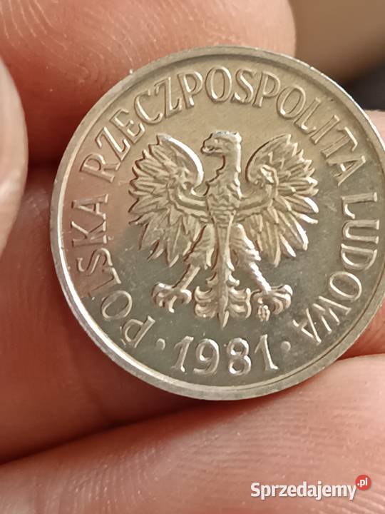 Sprzedam 20 gr 1981 r lekka skretka Chełm