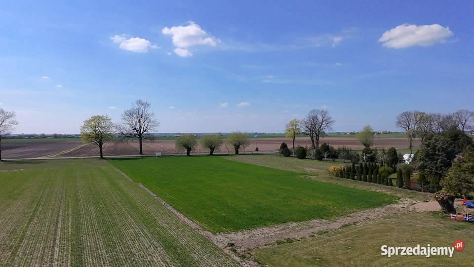 DZIAŁKI BUDOWLANE Dąbrowa gm Lądek powiat