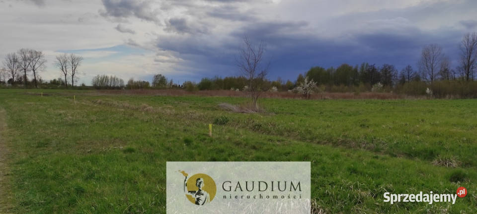 działki w Drewnicy Drewnica sprzedam