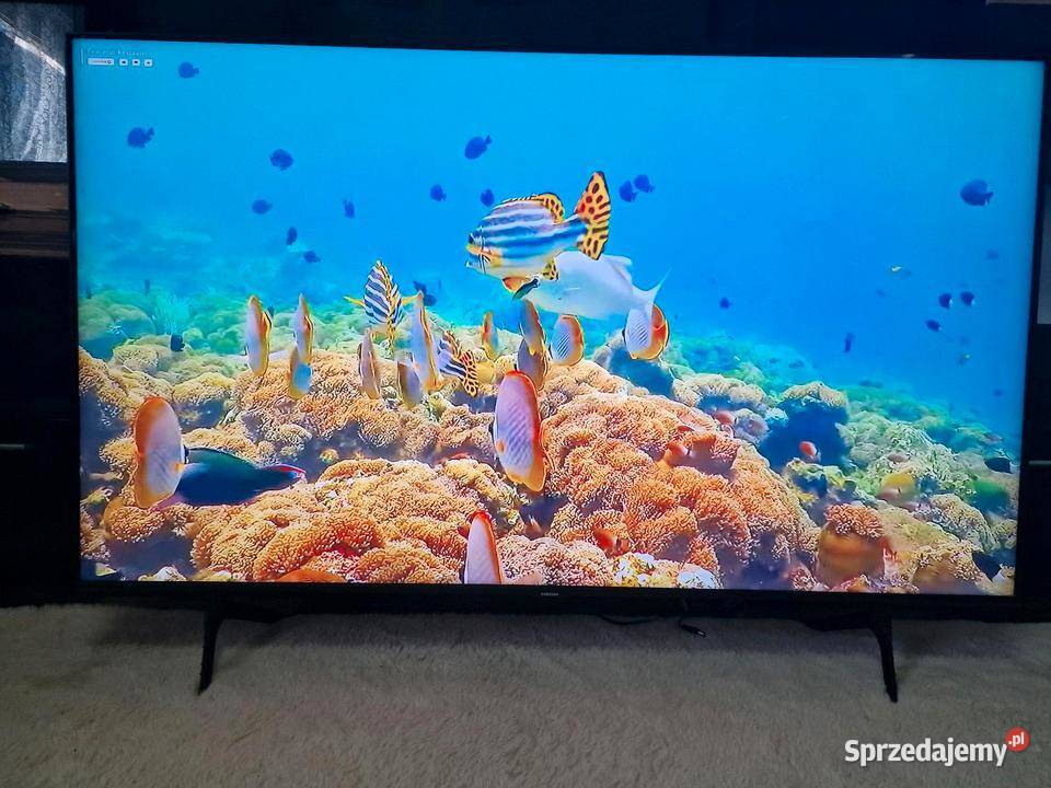 TV Samsung 55 Telewizory