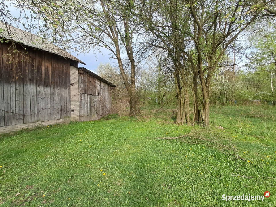 Siedlisko spokojna wieś w przepięknej okolicy 16000m2 Trzciniec sprzedam