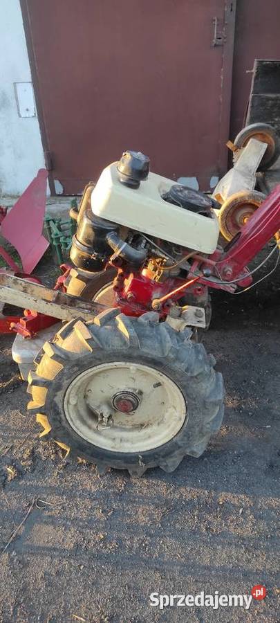 Terra vari jednoosiowy MF 70 gudbrod dzik