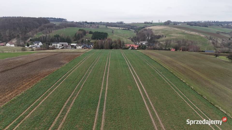 Piękna działkaMinoga małopolskie Minoga sprzedam
