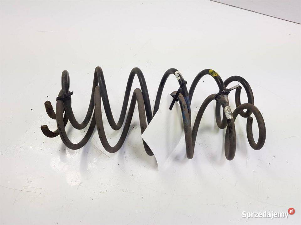 SPRĘŻYNY TYŁ CITROEN C3 Pozostałe Lipno