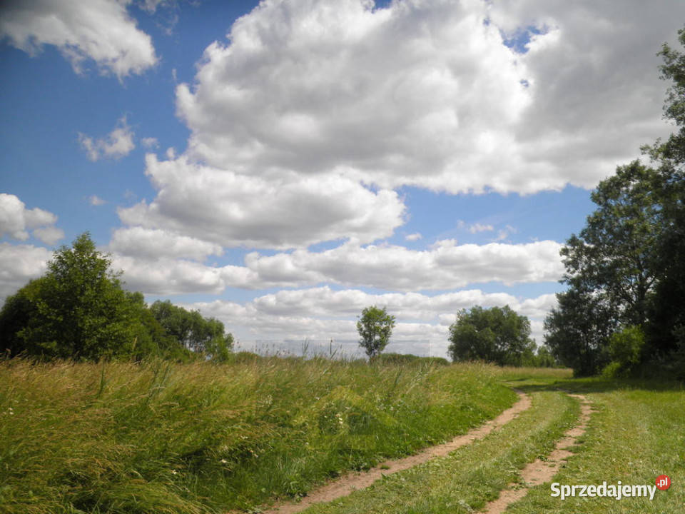 Ogłoszenie działka Ostrowiec rekreacyjna Sprzedaż