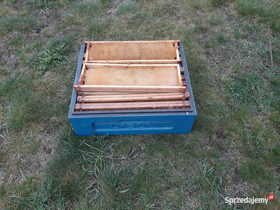 Susz pszczeli ramka hofmanowska12 Dadanta Klucze sprzedam