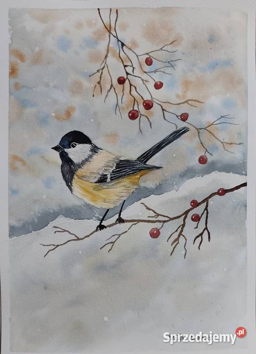 Akwarela Akwarelka Obraz pt Sikorka Wrocław
