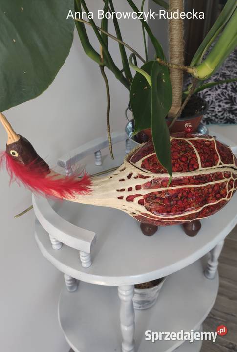 Tykwaptak z tykwy małopolskie Oświęcim sprzedam