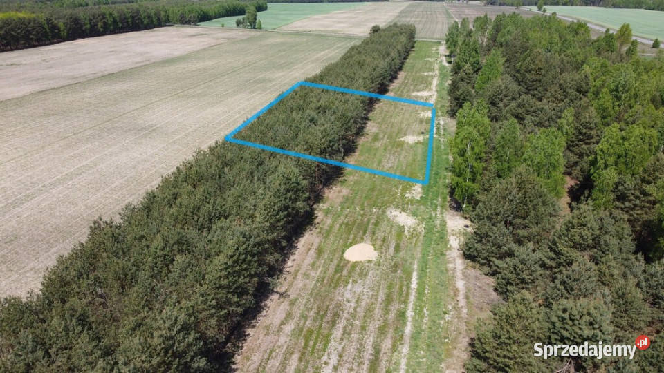 Działka z WZ w Wólce Gonciarskiej gm Kazanów budowlana Grunty i działki Wólka Gonciarska sprzedam