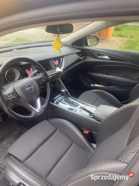 Opel Insignia 2019 Ciecierzyn sprzedam