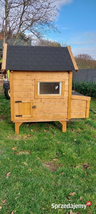 Kurnik mazowieckie Sochaczew