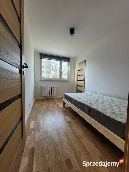 2pok 40met Koszalińskiej REMONCIE Wrocław Piętro 1 dolnośląskie