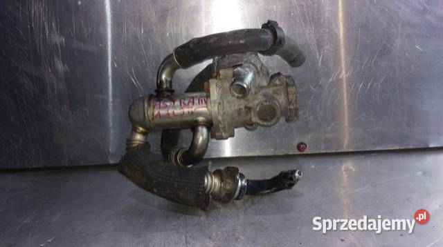 CHŁODNICZKA SPALIN OPEL ASTRA III 17 CDTI wielkopolskie