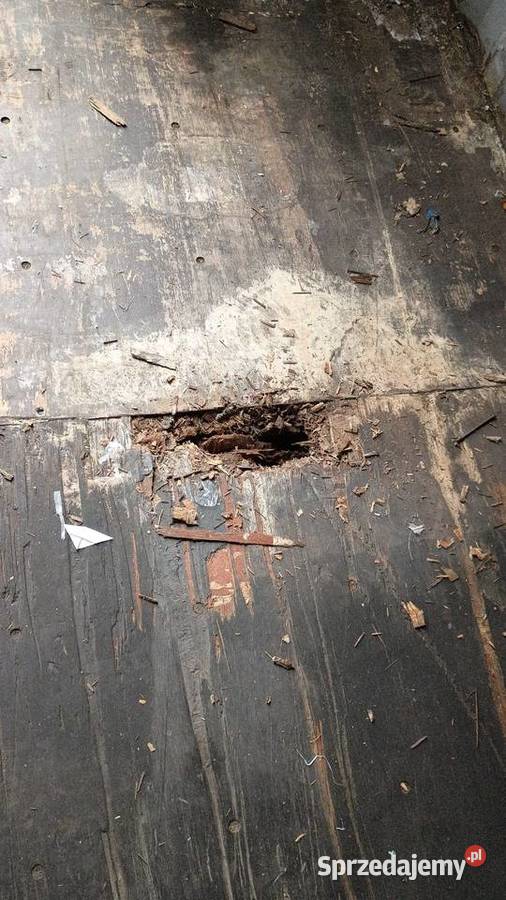 Kontener morski magazynowy 40HC uzywany Warszawa