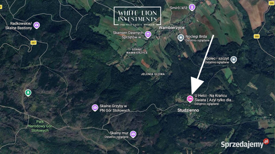 Grunt 2996m2 Studzienno Sprzedaż Grunty i działki sprzedam
