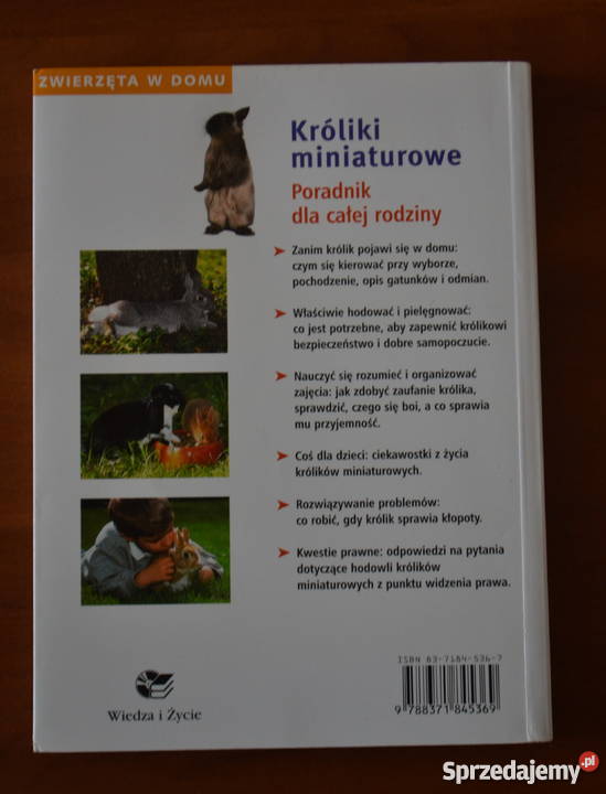 Książka KRÓLIKI MINIATUROWE Monika Wegler zwierzęta domowe i hodowlane zachodniopomorskie