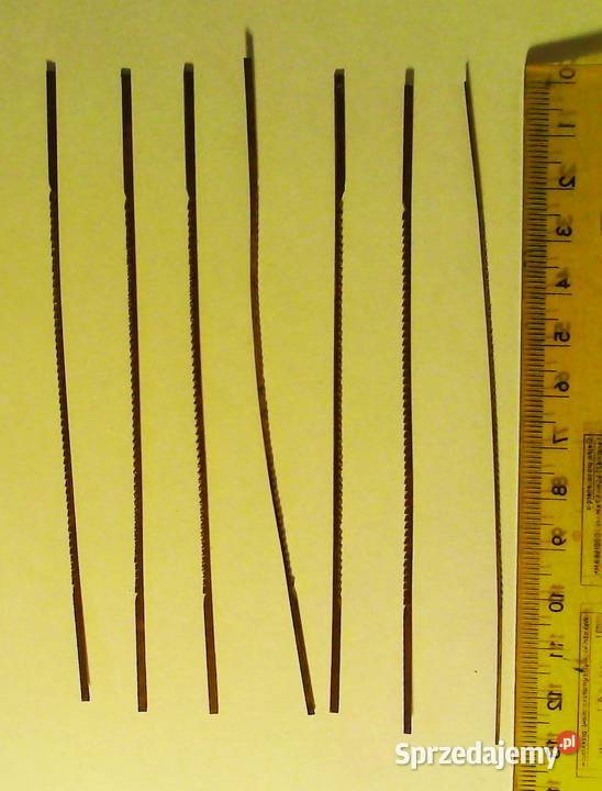 Brzeszczoty 7 do piły włośnicy 13 Kraków