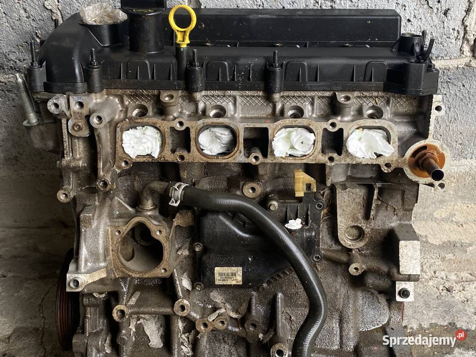 Silnik Ford fusion 25b Rok produkcji 2015 Sędziszów