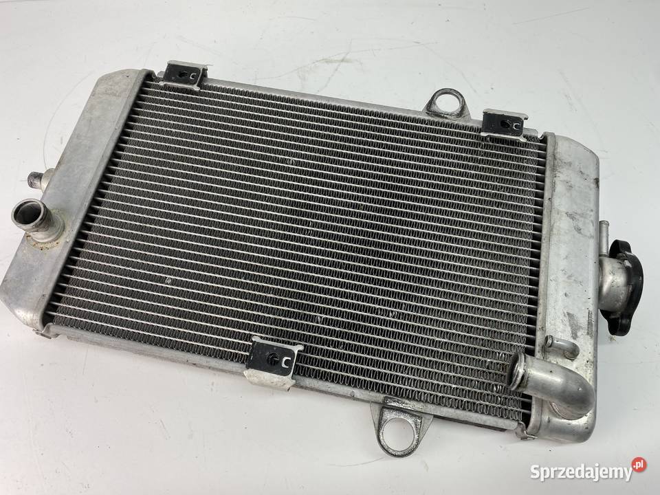 CHŁODNICA YAMAHA RAPTOR 700 1PEWE2460000 Sulęcin