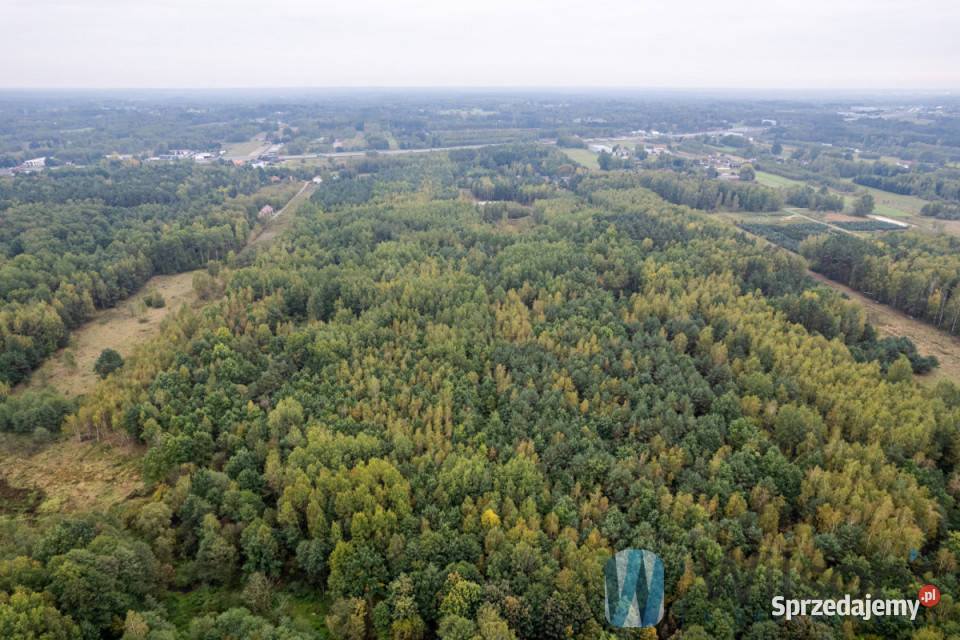 Ogłoszenie grunt Nowa Bukówka 133548m2