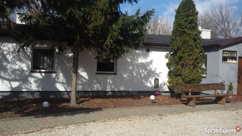 wynajem pokoi Wakacje i podróże mazowieckie Płock