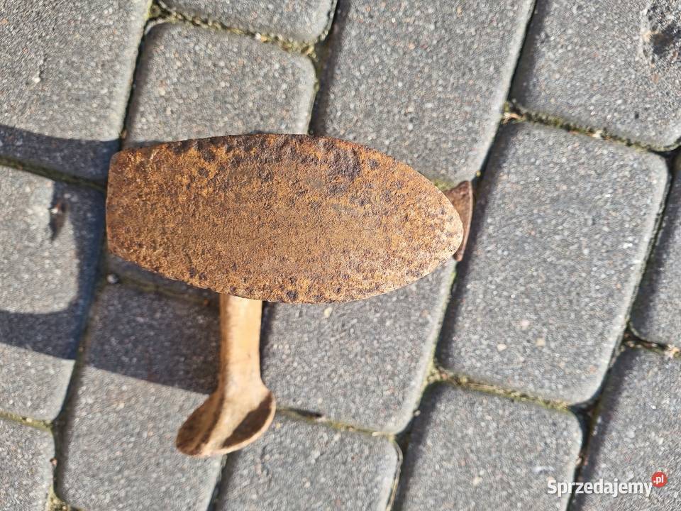 Stare Kopyto szewskie Pozostałe Lublin