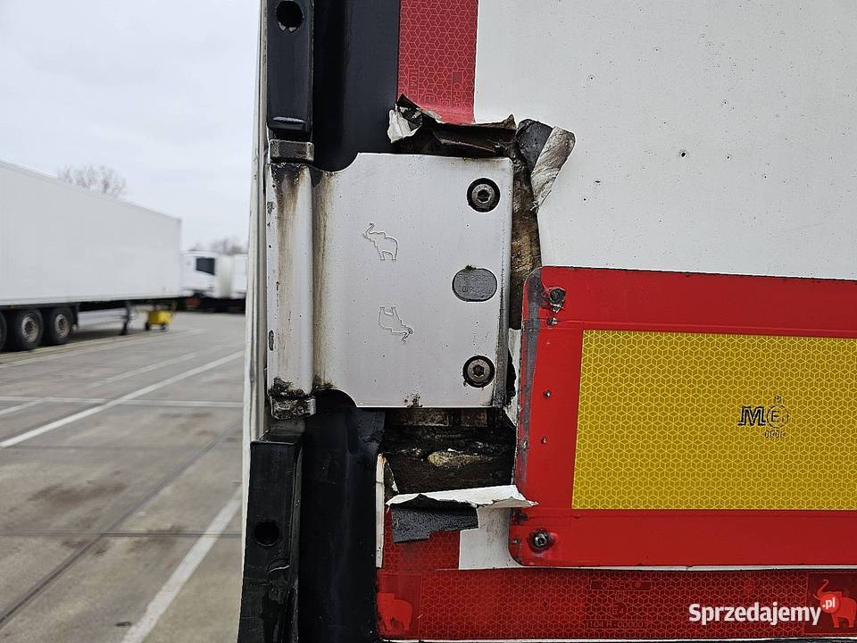 Schmitz SKO 24L134 FP chłodnia 2019 sprzedam
