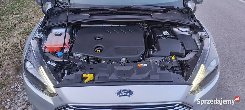 Ford Focus 16 TDCi 2015r Hatchback 115 116 800 Ford