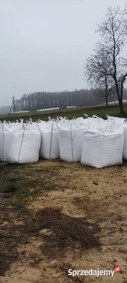 CCM kukurydza mielona