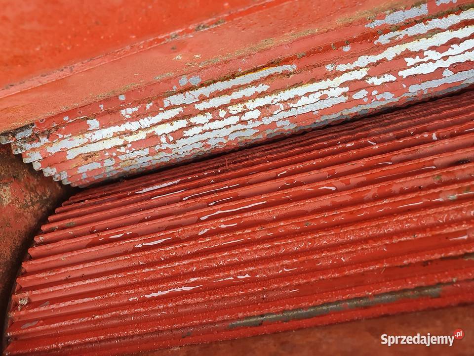 Claas Jaguar 890 840 sprowadzona dopieszczona Kolnica