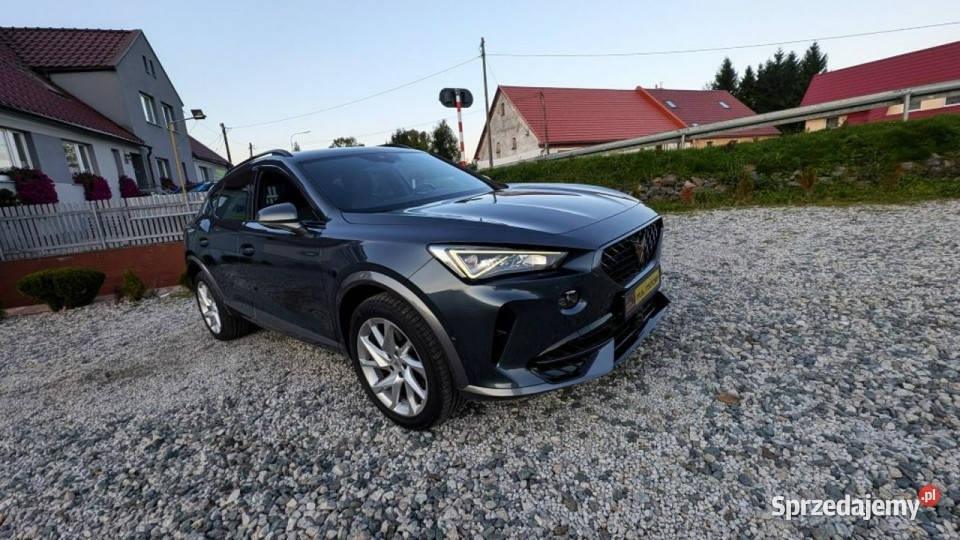 Cupra Formentor Ambiente Grzana Kierownica