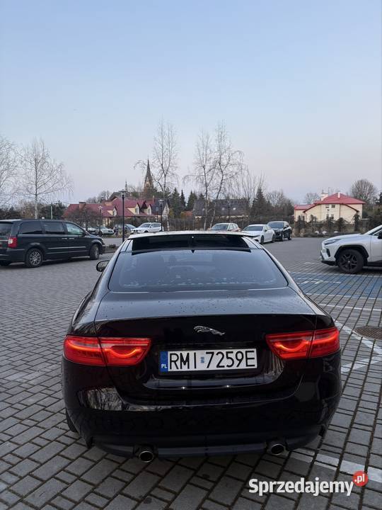 Jaguar XE 20 250 koni Sport
