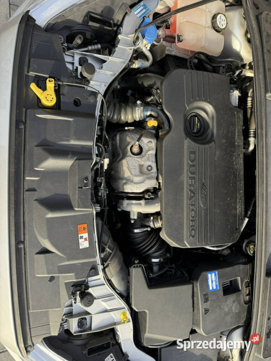 Ford Focus TIANIUM Bezwypadkowy bogato wielkopolskie Poznań