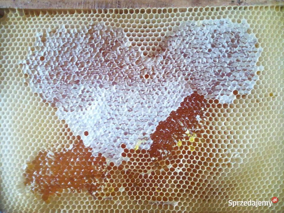 Miód z własnej pasieki