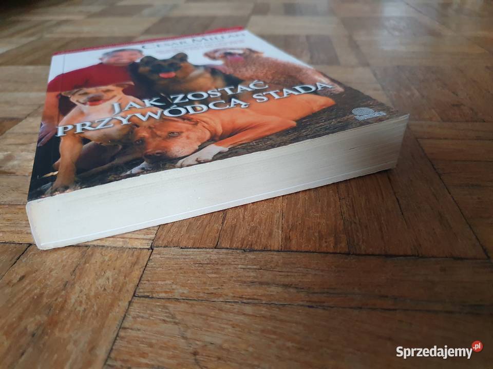 SUPER STAN Cesar MillanZaklinacz psów zostać sprzedam
