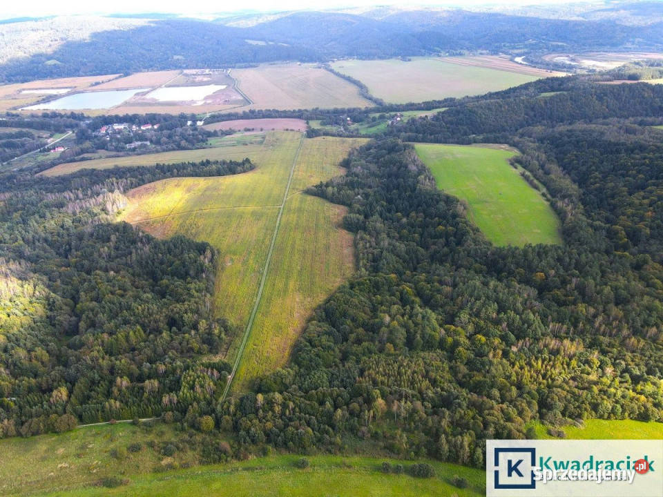 Grunt 23000m2 Witryłów Nieruchomości podkarpackie
