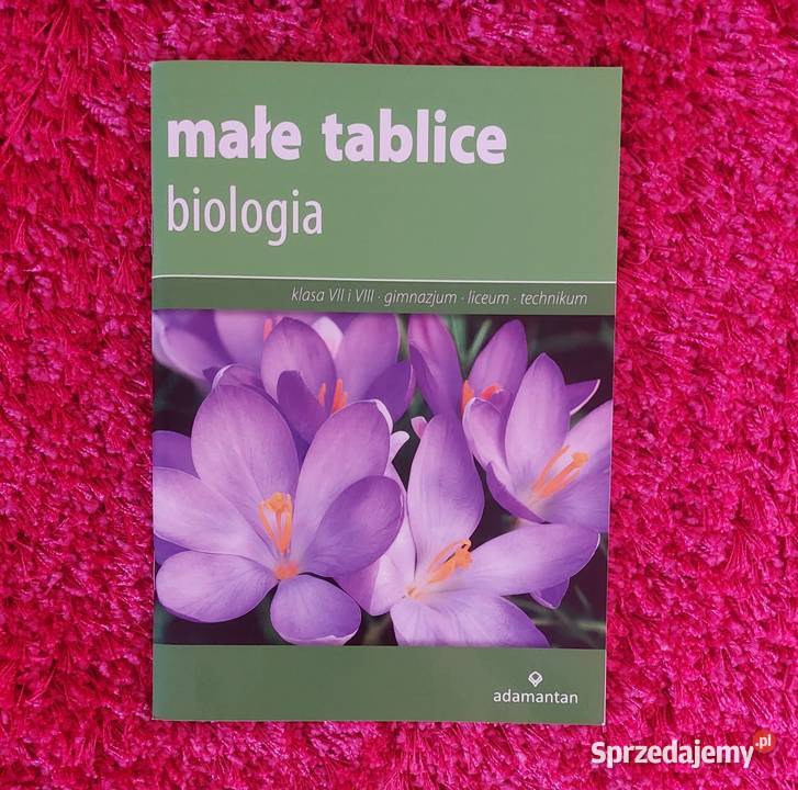Małe tablice biologia Częstochowa