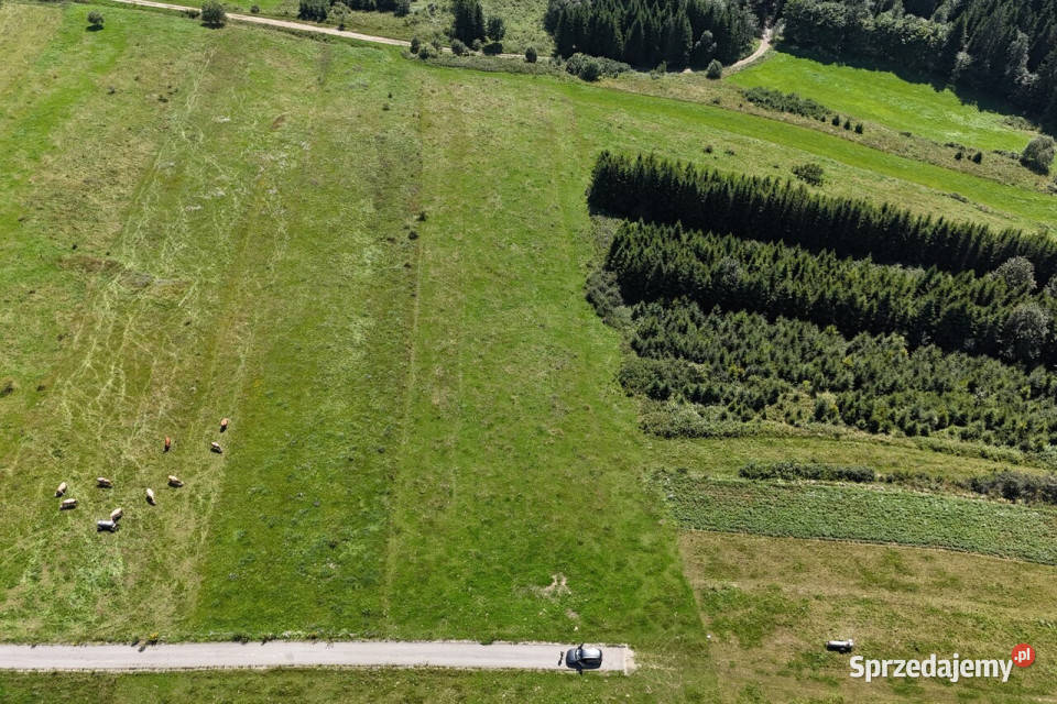 Działka budowlana z widokiem na Tatry Dursztyn sprzedam