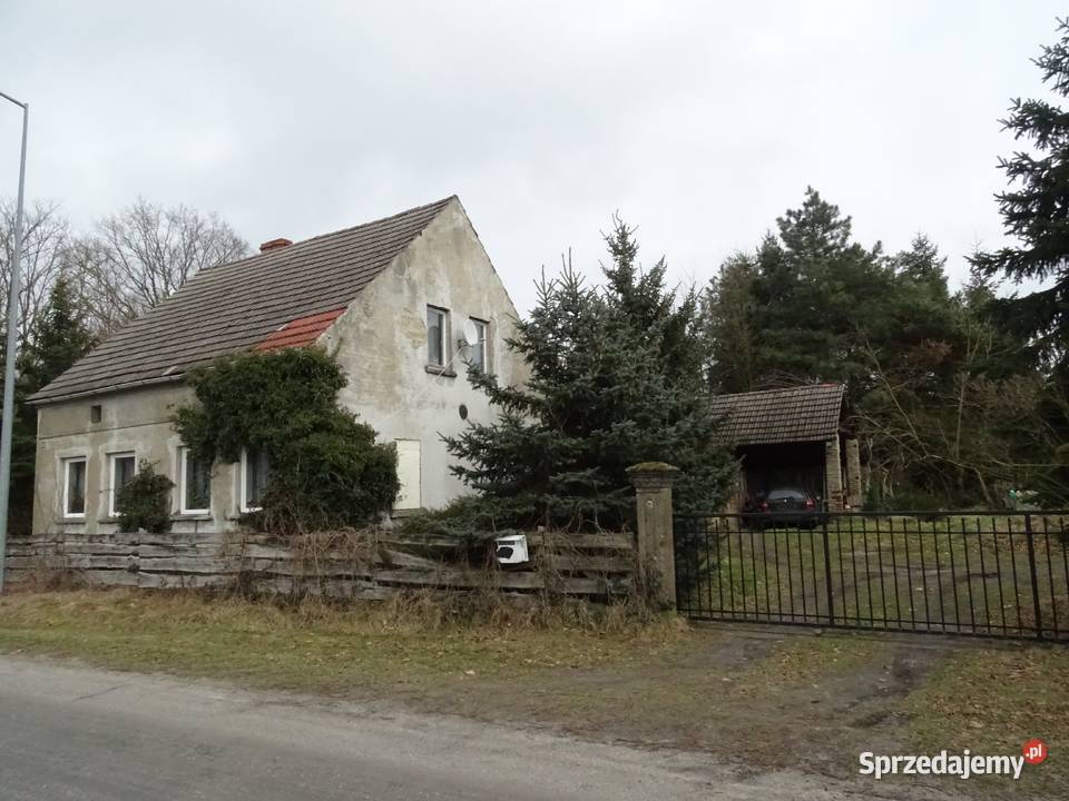 Dom wiejski bez sąsiadów lubuskie ok Janiszowic 2300m2 Janiszowice