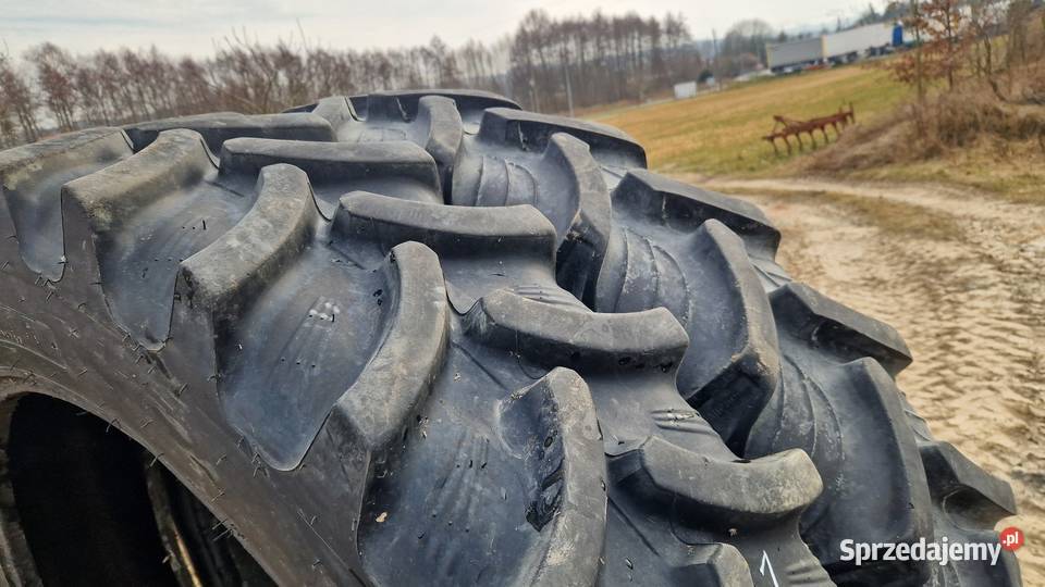 30095r46 124r46 Taurus Ozka Carlisle Petlas 95 warmińsko-mazurskie