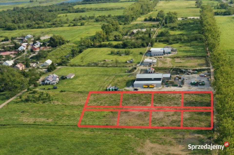 Teren pod budowę domu Sprzedaż zachodniopomorskie Daleszewo
