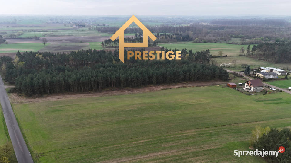Działki budowlane Zaryń gmWierzbinek wielkopolskie