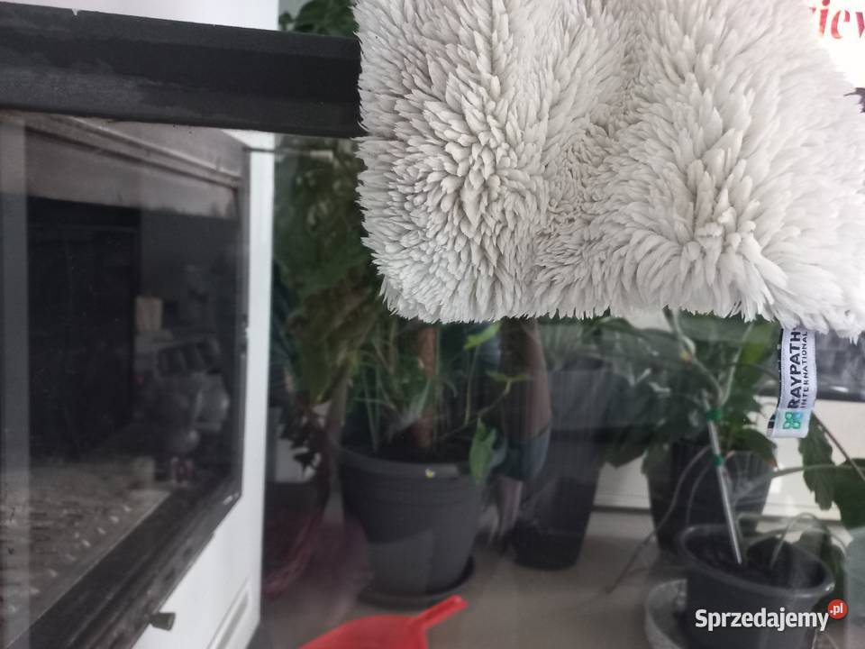 Recykling czyściw Raypath 50 ceny Bełk