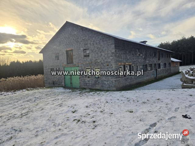 Działka Gorzyce 54060m2 sprzedam