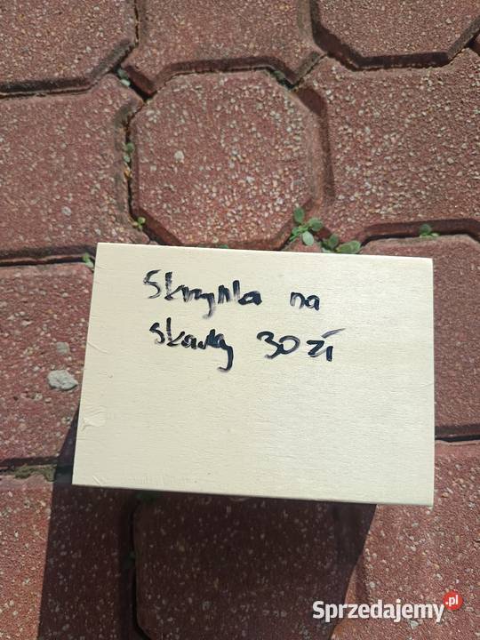 Sprzedam skrzyneczkę na skarby Pińczów