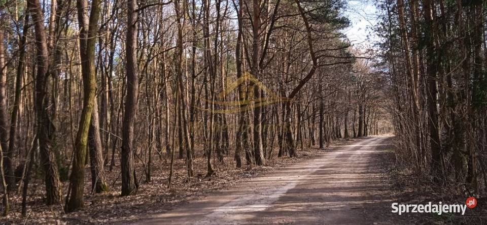 sprzedaży gruntu Ojrzanów 1500m2