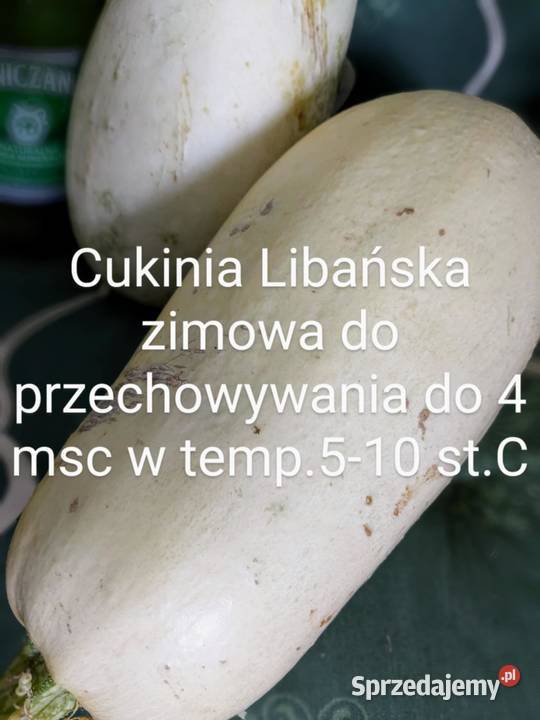 Pakiet 3 Gatunki Dynia Hokkaido Bez łupin duża Kraków