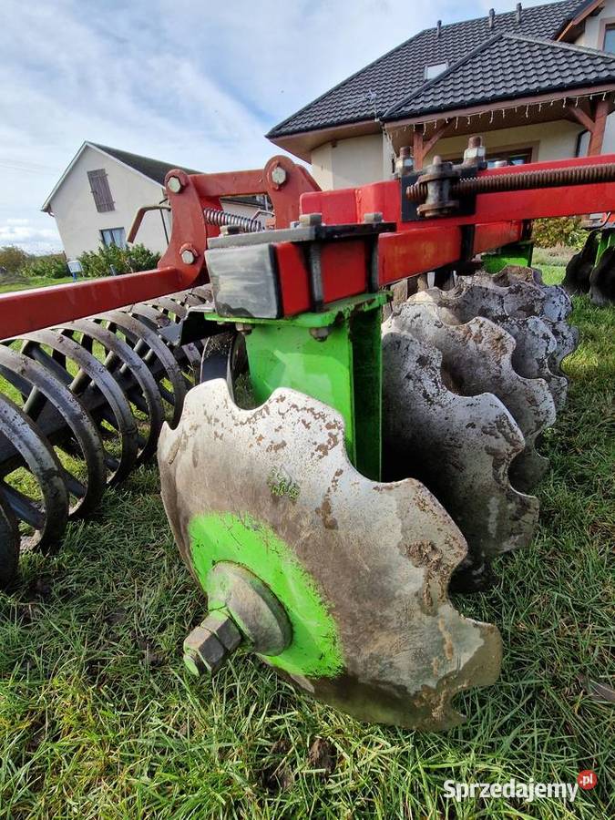 Brona talerzowa Brony