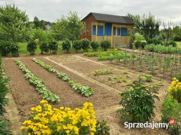 Działka ogrodniczorekreacyjna 800m2 ROD Pępowo